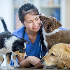 Picture for category Staff Picks!